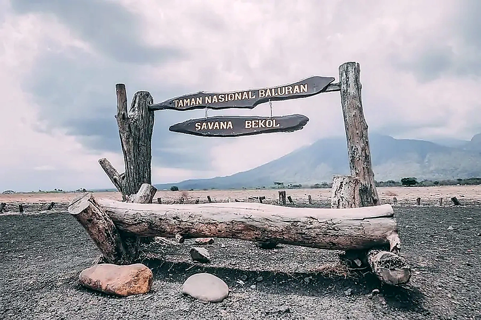 Baluran Banyuwangi